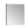 Vitra Core Pasqyre Tualeti 60cm VI-66914 